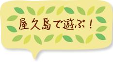屋久島で遊ぶ！